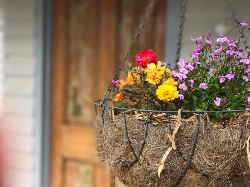 Robin Hoods Well Farm Stay Sassafras エクステリア 写真