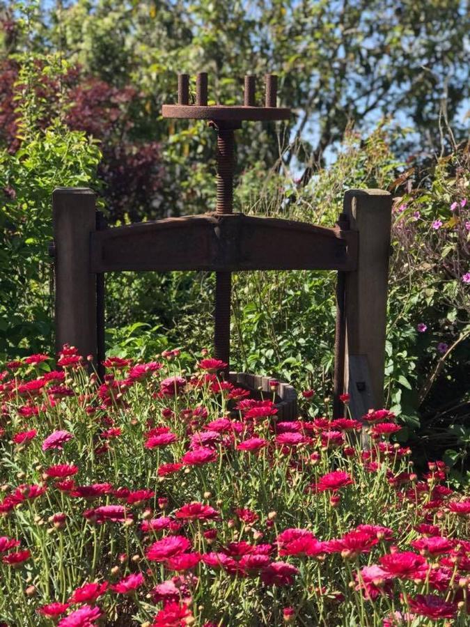 Robin Hoods Well Farm Stay Sassafras エクステリア 写真