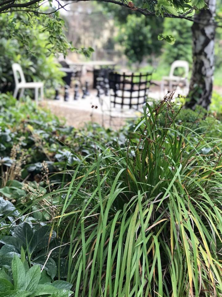 Robin Hoods Well Farm Stay Sassafras エクステリア 写真