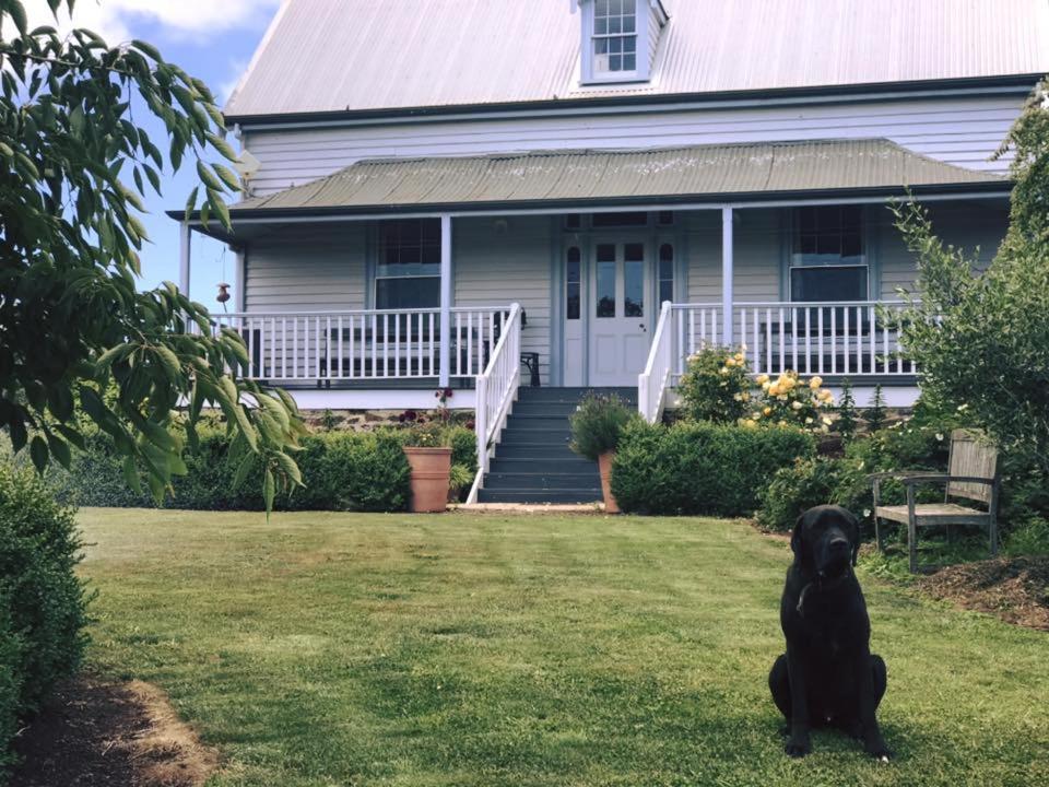 Robin Hoods Well Farm Stay Sassafras エクステリア 写真