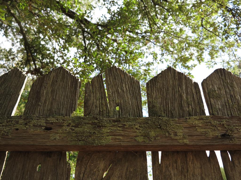 Robin Hoods Well Farm Stay Sassafras エクステリア 写真