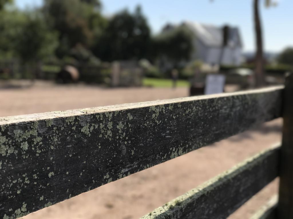 Robin Hoods Well Farm Stay Sassafras エクステリア 写真